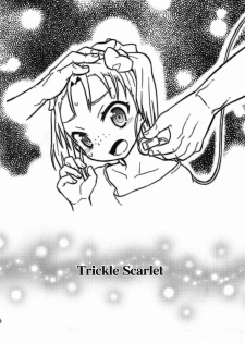 (C82) [Wicked Heart (ZooTAN)] Trickle Scarlet (Accel World) - page 3