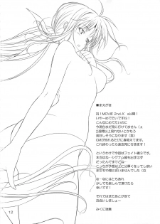 (C82) [IV VA SHIN (Mikuni Mizuki)] Home Sweet Home ~Fate hen 3~ (Mahou Shoujo Lyrical Nanoha) - page 9