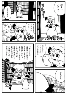 (Aka no Hiroba 8) [Surudoiman no Irutokoro (Norihito)] Patchouli ga Ippai (Touhou Project) - page 9