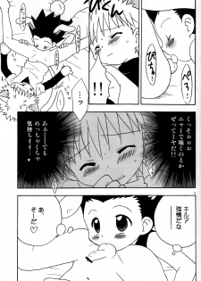 [Kurikomi (Adachi Himiko)] Haruneko Usagi Tsukiyo (Hunter x Hunter) - page 9