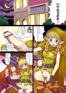 (C81) [Tsujimo ga Machi ni Yattekita!!! (Tsujizen)] Erotica Crown - Bitch na Majo (Dragon's Crown) - page 3