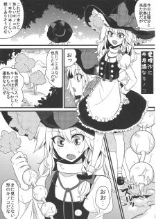 (C81) [Narumiya (Narumiya)] Tama Tama Shippo (Touhou Project) - page 14