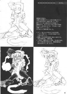 (C81) [Narumiya (Narumiya)] Tama Tama Shippo (Touhou Project) - page 43