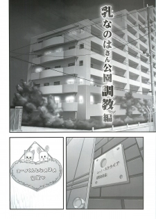 (C81) [STUDIO HUAN (Raidon)] New Nanoha-san. Kouen Choukyou hen (Mahou Shoujo Lyrical Nanoha) - page 4