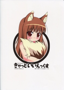 (COMIC1☆3) [Cat Expert (Nekousa)] Wacchi Ecchi 2 (Spice and Wolf) - page 18