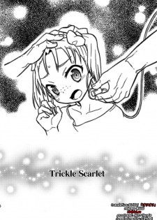 (C82) [Wicked Heart (ZooTAN)] Trickle Scarlet (Accel World) [English] {biribiri} - page 3