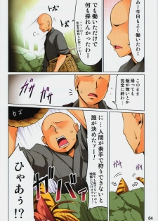 (C82) [Akikaze Asparagus (Aki)] Toramaru Shou no Hatsujouki (Touhou Project) - page 4