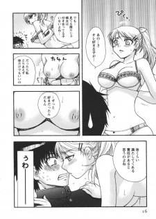 [Minami Rin] Netsuai Seitokai! - page 18