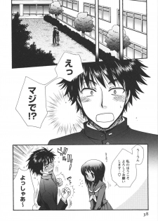 [Minami Rin] Netsuai Seitokai! - page 40