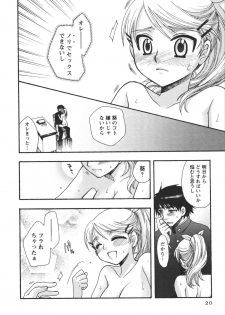 [Minami Rin] Netsuai Seitokai! - page 22