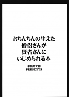 [Hanjuku Yude Tamago (Canadazin)] Ochinchin no Haeta Souryo-san ga Kenja-san ni Ijimerareru Hon (Dragon Quest III) [Digital] - page 18