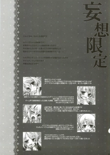 (C82) [Junginboshi (Takashina Asahi)] Mousou Gentei (Tales of Xillia) - page 4