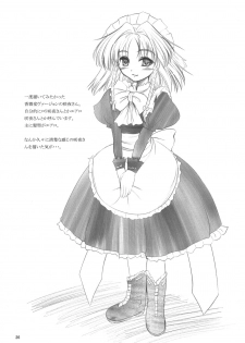 (C81) [LeimkissA (Nekohane Ryou)] Maid or Dog (Touhou Project) - page 25