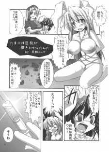 (C78) [Forever and ever... (Eisen, Kokutou Nikke, Nino Paru)] Udonge Goudoushi - Tokumori Udon (Touhou Project) - page 14