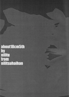 (Mimiket 15) [Nilitsu Haihan (Nilitsu)] About 18cm 5th (Fate/Stay Night) - page 2