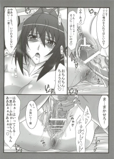 (C81) [STUDIO TRIUMPH (Mutou Keiji)] Astral Bout Ver.22 (Infinite Stratos) - page 12