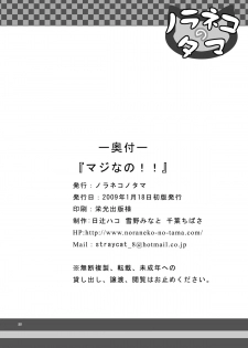 [Noraneko no Tama (Hitsuji Hako)] - Maji Nano!! (Mahou Shoujo Lyrical Nanoha) [Digital] - page 25