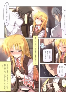 (C78) [TRI-MOON! (Mikazuki Akira!)] FERMATA (Mahou Shoujo Lyrical Nanoha) - page 18