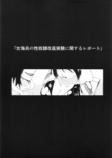 (SC57) [PARANOIA CAT (Fujiwara Shunichi)] Gokkan no Jikkenshitsu (One Piece) - page 2