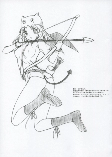 (C66) [L-letter, RADIANT (Iwasaki Kouji, Yuuki Makoto)] RagPuri (Ragnarok Online) - page 12