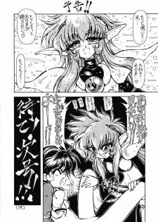 [Ryuurei Tennyo (Mizutani Hitomi)] Silk (Magic Knight Rayearth) - page 27