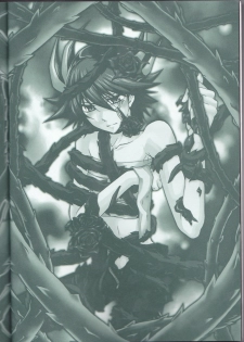 (C75) [Sorairoenogu (Kanei Yoh)] Victim Sanctuary (Yu-Gi-Oh 5D's) - page 3