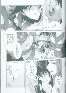 (C75) [Sorairoenogu (Kanei Yoh)] Victim Sanctuary (Yu-Gi-Oh 5D's) - page 20