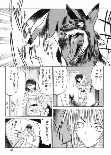 [Togashi] Yorozu Tatarareya - page 41