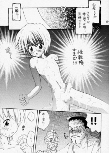 (C58) [KuruGuru DNA, Haniwa Mania (Hoshiai Hilo, Pon Takahanada)] Akai Tori Nigeta (Hunter x Hunter, Neon Genesis Evangelion) - page 18