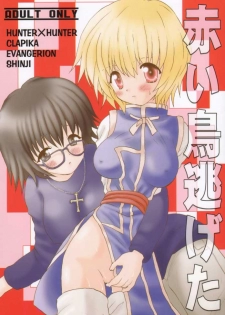 (C58) [KuruGuru DNA, Haniwa Mania (Hoshiai Hilo, Pon Takahanada)] Akai Tori Nigeta (Hunter x Hunter, Neon Genesis Evangelion) - page 1