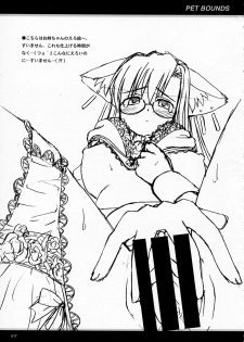 [Touzoku Tachi no Rakuda no Mure (Beti)] PET BOUNDS - page 17