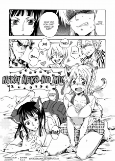 [Kurione-sha (YU-RI)] Neko Neko No Mi (One Piece) [English] =Ero Manga Girls & maipantsu= - page 1