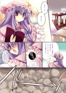 (C79) [Wish +Kibou no Tsubasa+ (Sakurano Ru)] Taitou Marisa-Patchouli (Touhou Project) - page 3