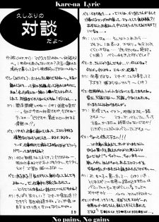 (Mimiket 3) [Kare-na Lyric (Beti, Katsumata Kazuki)] No pains, No gains - page 19
