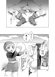 [Pintsize (Koorizu, TKS)] Haramase Monsters ~Sanran Naedoko Mireyu~ (Dragon Quest VI) - page 25