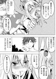 (COMIC1☆6) [Donzoko Kashiwa Meshi (Mask the J)] Altina Weapon (Shining Blade) - page 13