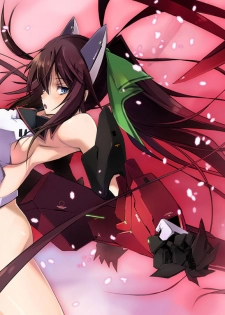 (SC50) [RYU-SEKI-DO (Nagare Hyo-go)] LS Lovers Striker (IS <Infinite Stratos>) [English] - page 1