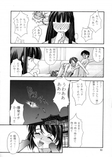 (C58) [Sanazura Doujinshi Hakkoujo (Sanazura Hiroyuki)] Shumi no Doujinshi 11 (Love Hina) - page 28