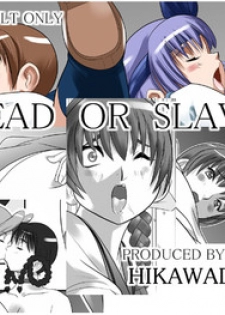 [Hikawadou (Hinokawa Jun)] Dead or Slave (Dead or Alive)