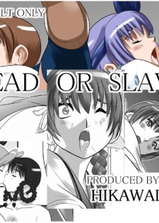 [Hikawadou (Hinokawa Jun)] Dead or Slave (Dead or Alive) - page 1