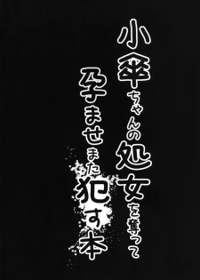 [Yaburi Dokoro (Hakano Shinshi)] Kogasa-chan no Shojo o Ubatte Haramase Mata Okasu hon (Touhou Project) [Digital] - page 3