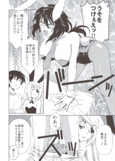 (C83) [CAZA MAYOR (Tsutsumi Akari)] is Incest Strategy 3 (Infinite Stratos) - page 5