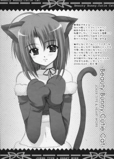(C71) [Joker Type & Heart-Work (Nishimata Aoi, Suzuhira Hiro)] Beauty Bunny.Cutie Cat - page 16