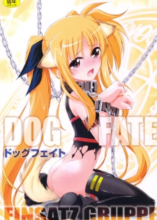 (C83) [EINSATZ GRUPPE (Charlie Nishinaka)] DOG FATE (Mahou Shoujo Lyrical Nanoha) - page 1