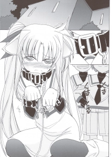 (C83) [EINSATZ GRUPPE (Charlie Nishinaka)] DOG FATE (Mahou Shoujo Lyrical Nanoha) - page 2