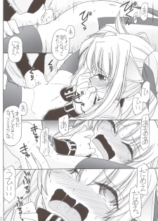 (C83) [EINSATZ GRUPPE (Charlie Nishinaka)] DOG FATE (Mahou Shoujo Lyrical Nanoha) - page 11