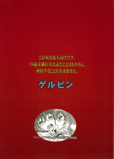 (C83) [Gerupin (Minazuki Juuzou)] Chousoku Kankei Gyro Fucker (Chousoku Henkei Gyrozetter) - page 22