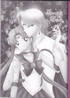 (C82) [MoE (Eiri)] Kuroi Tsuki ni Michibikare (Sailor Moon) - page 3