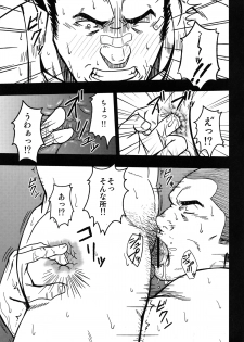 (C82) [RYCANTHROPY (Mizuki Gai)] Mousou to Nawatobi - page 15