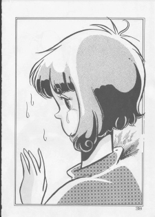 [Rhein no Mamori Shoukai] Decchi Up 3 (Urusei Yatsura, Maison Ikkoku) - page 39